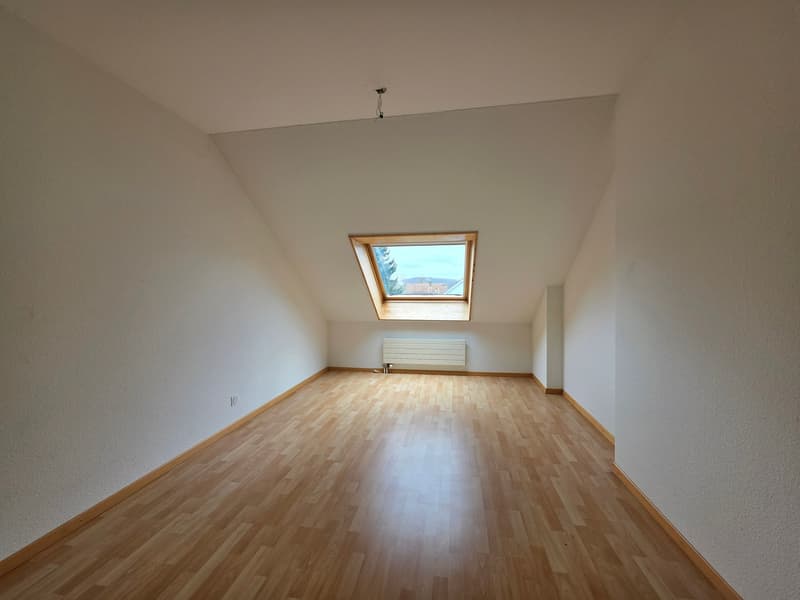 empty room, wooden floor, white walls, skylight, radiator