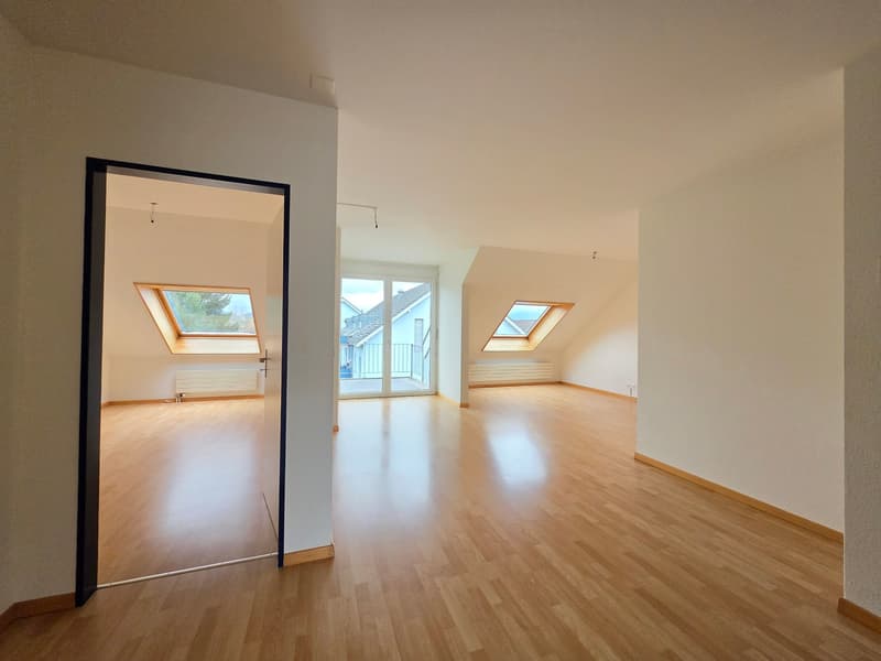 empty room, wooden floor, white walls, two skylights, sliding glass door to balcony