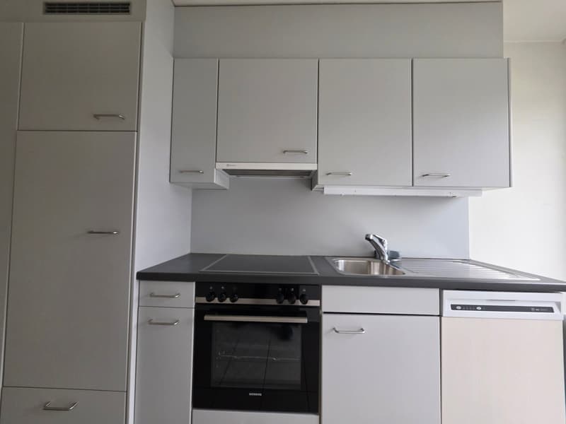 modern kitchen with white cabinets, black countertops, integrated oven and dishwasher, stainless steel sink and faucet