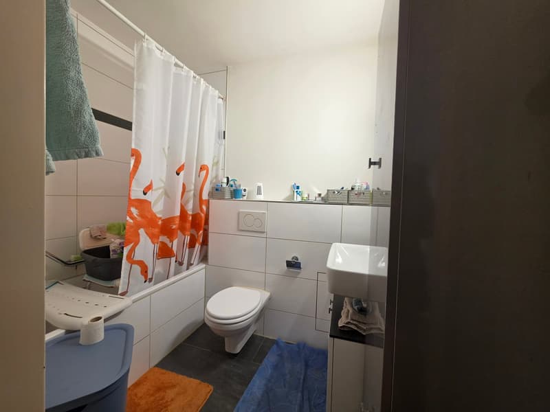 Appartement moderne 3.5 pièces avec balcon à Breitenbach (11)