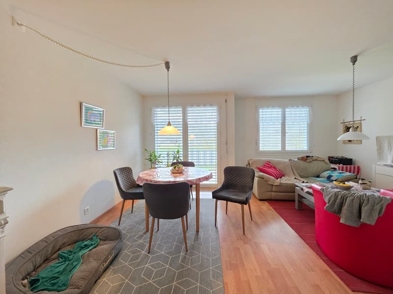 Dining area with table and chairs, living area with couch, coffee table, and red bean bag chair, dog bed, wooden floor, white walls, framed pictures, lamps, and plants