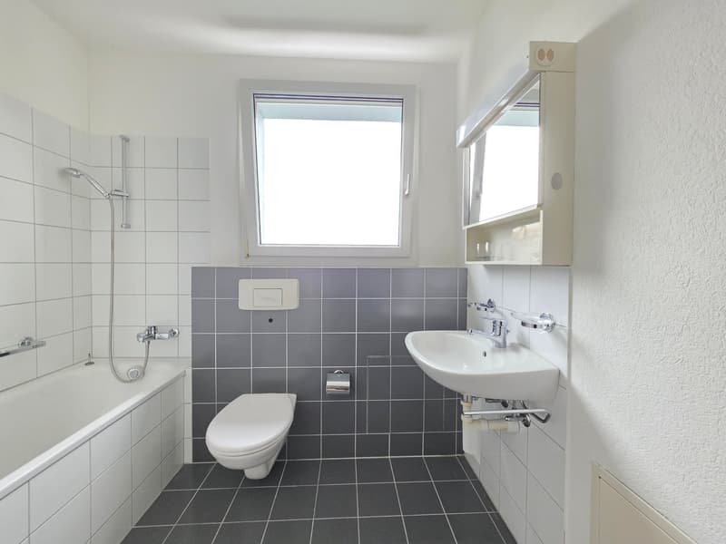 Spacious 3.5-room apartment for rent in a central location (11)