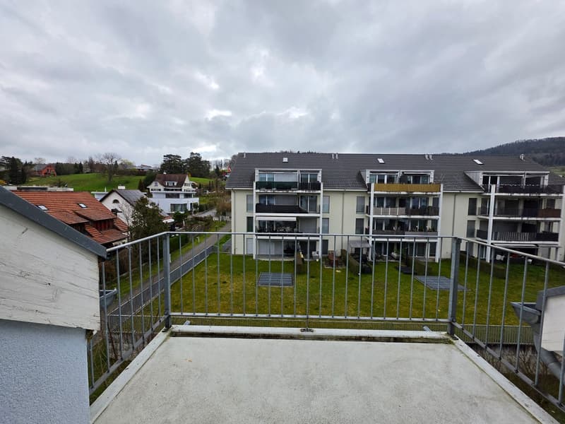 Spacious 3.5-room apartment for rent in a central location (13)