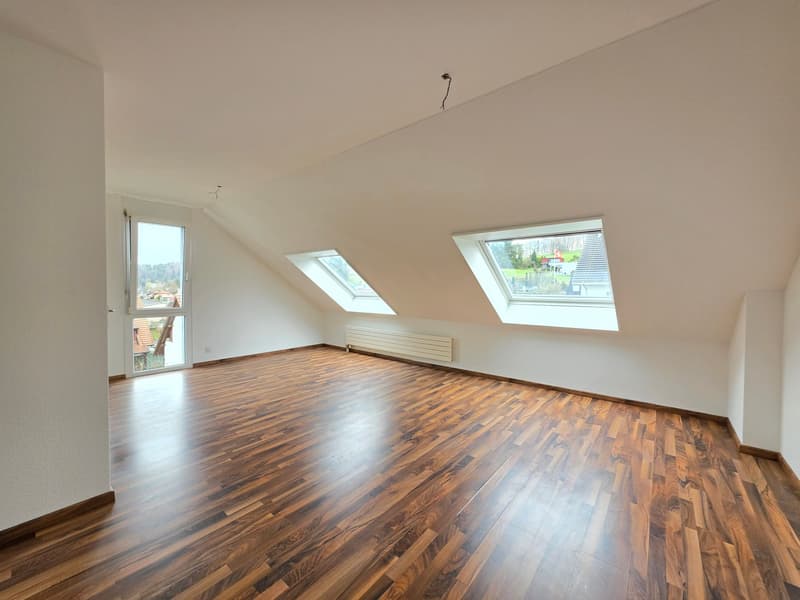 Spacious 3.5-room apartment for rent in a central location (18)