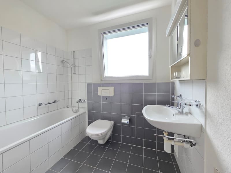 Spacious 3.5-room apartment for rent in a central location (12)