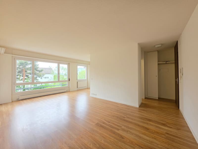 empty room, wooden floor, large windows, white walls, closet