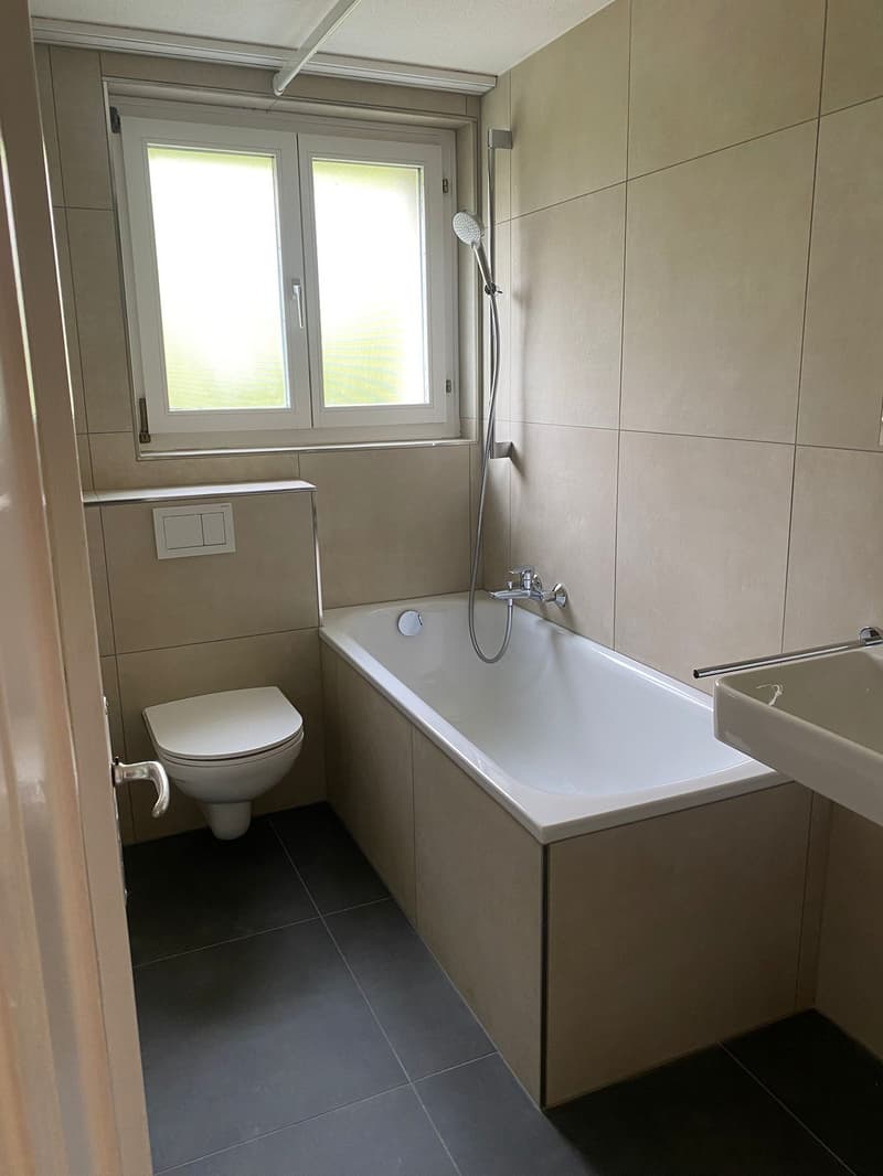 Renovated 3.5-room apartment with balcony in Herisau (10)