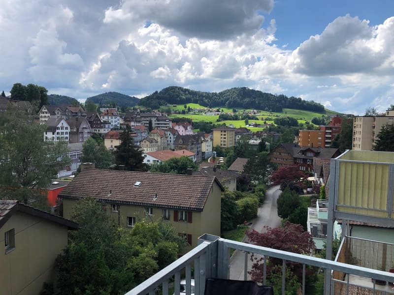 Renovated 3.5-room apartment with balcony in Herisau (7)