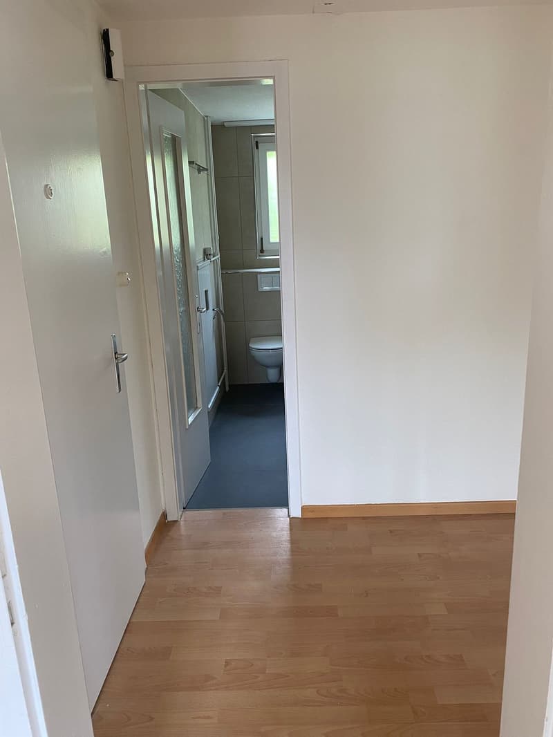 Renovated 3.5-room apartment with balcony in Herisau (14)