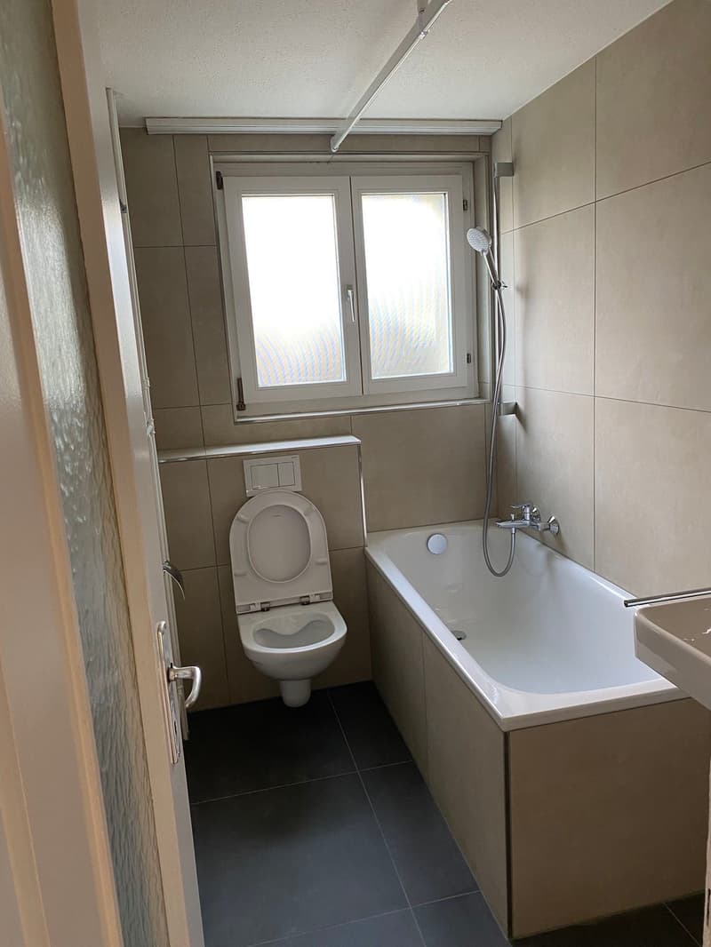 Renovated 3.5-room apartment with balcony in Herisau (11)