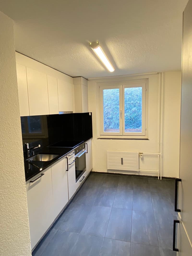 Renovated 3.5-room apartment with balcony in Herisau (2)
