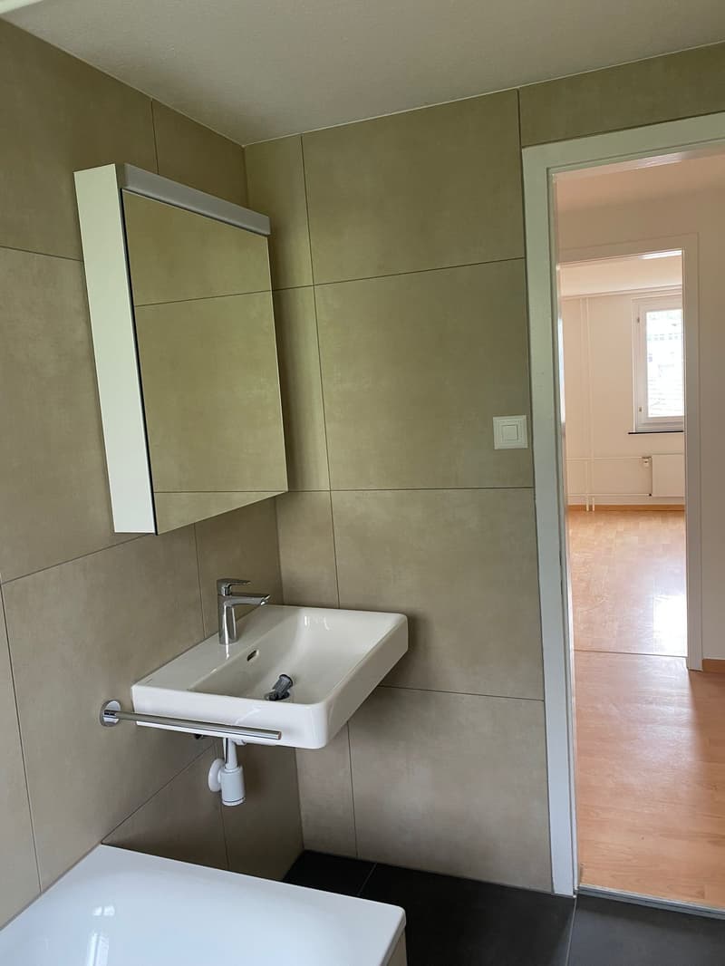 Renovated 3.5-room apartment with balcony in Herisau (12)