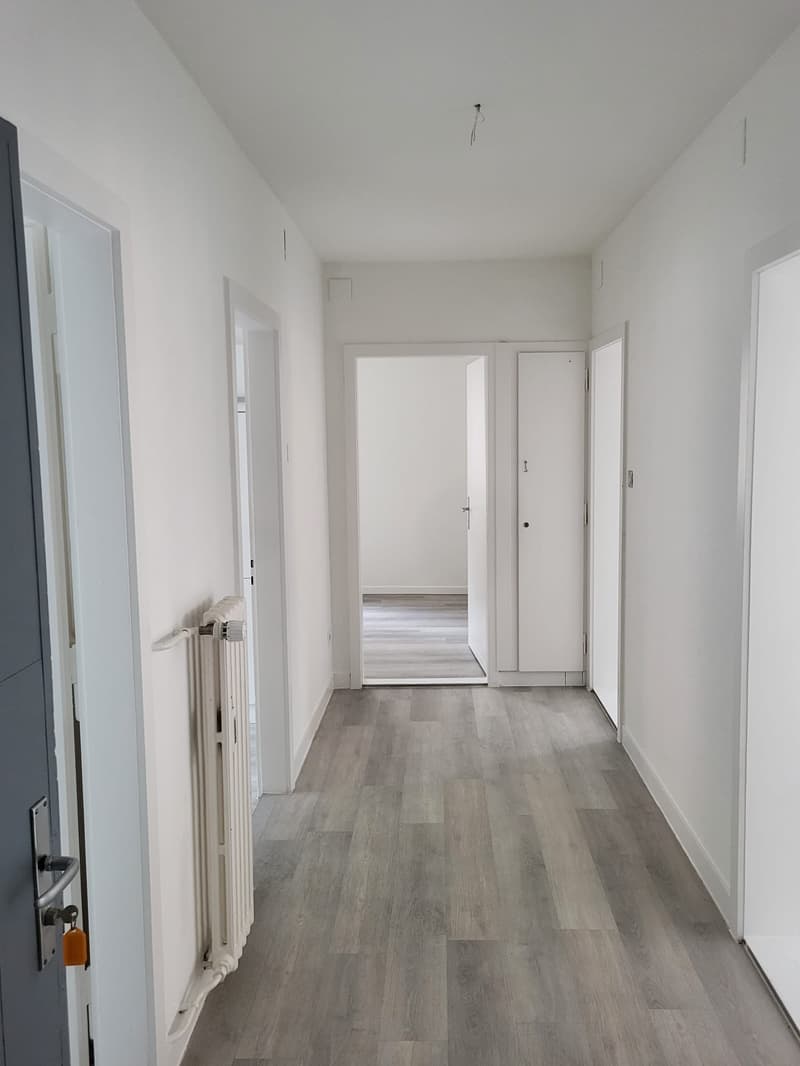 Beautiful 4.5-room apartment renovated in Saint-Imier (13)