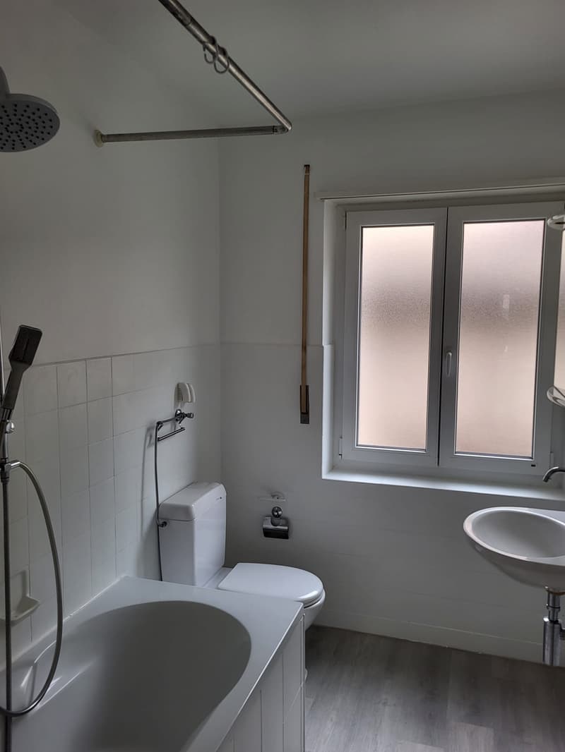 Beautiful 4.5-room apartment renovated in Saint-Imier (11)