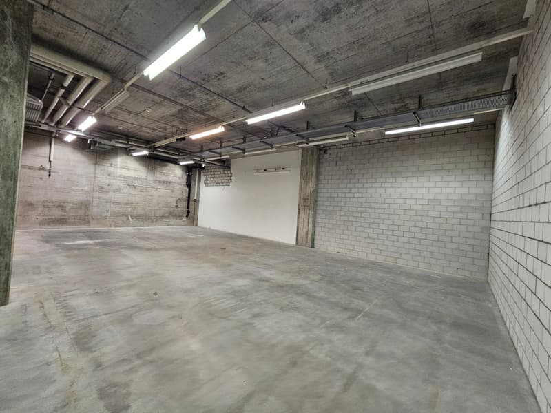 Ampio spazio di stoccaggio in affitto a Gretzenbach! (9)
