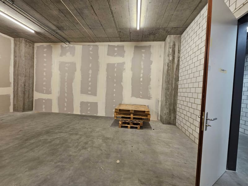 Ampio spazio di stoccaggio in affitto a Gretzenbach! (12)