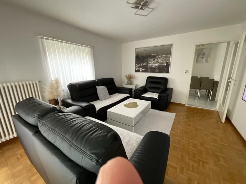 Moderne und grosszügige 4 ZWG per sofort zu vermieten (5)