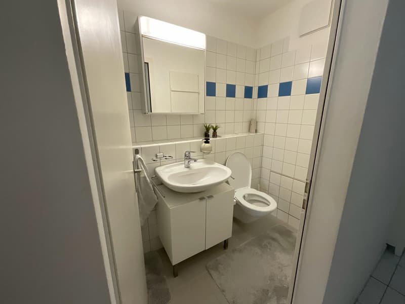 Bathroom with white tiles, white sink, white toilet, mirror, and a rug.