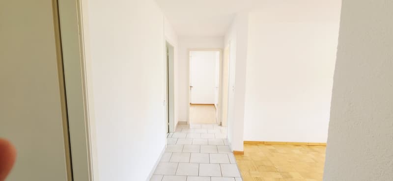 Three-room apartment with plenty of light for rent in Péry - fully renovated (5)