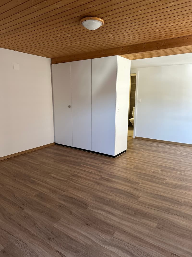 Appartement charmant de 1,5 pièces au 3e étage à Einsiedeln – disponible immédiatement ! (10)