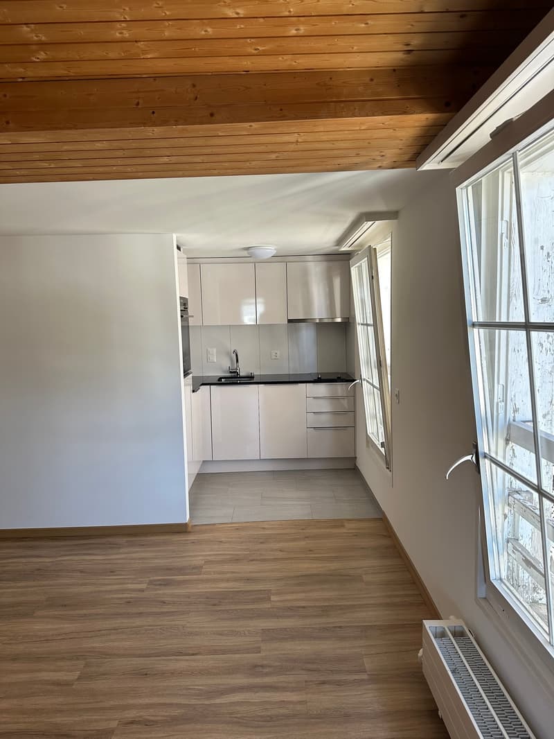 Appartement charmant de 1,5 pièces au 3e étage à Einsiedeln – disponible immédiatement ! (4)