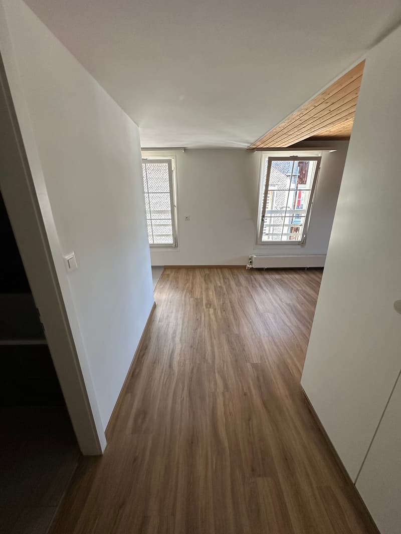 Appartement charmant de 1,5 pièces au 3e étage à Einsiedeln – disponible immédiatement ! (13)