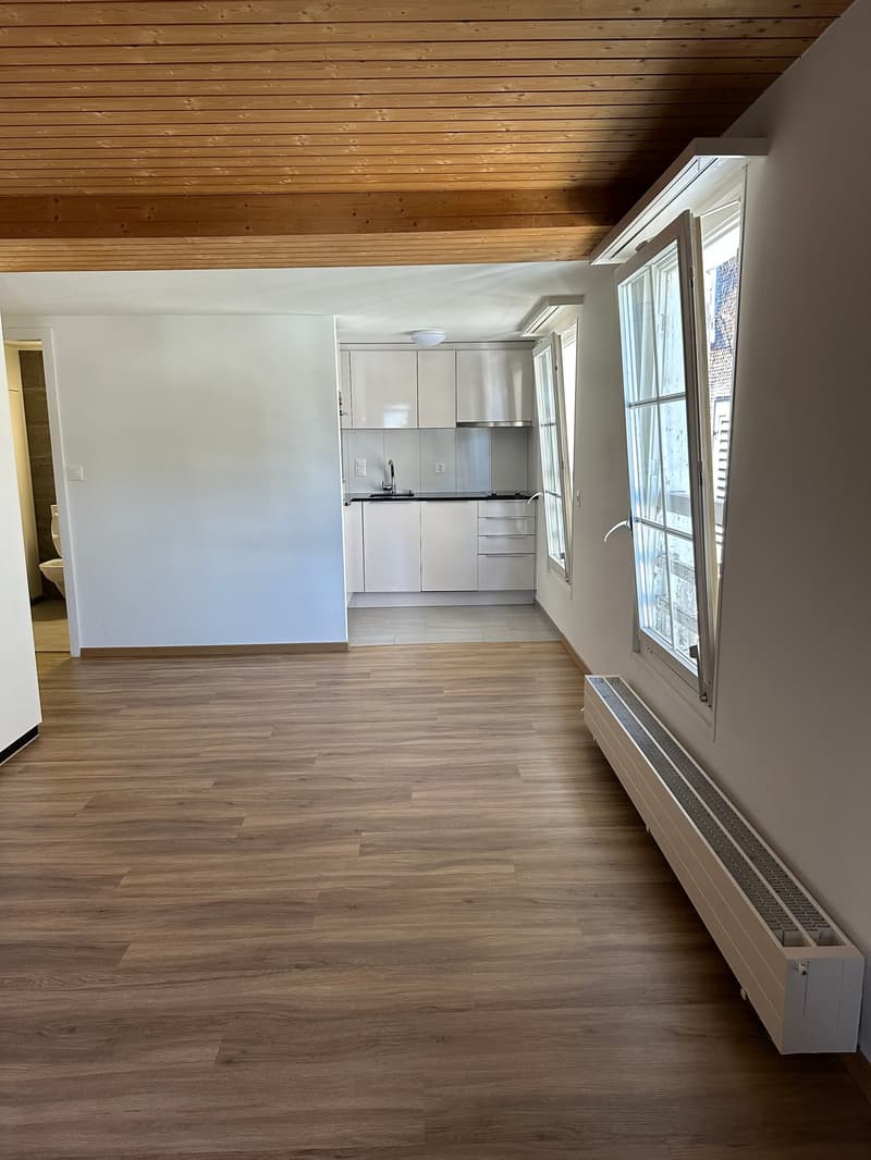 Appartement charmant de 1,5 pièces au 3e étage à Einsiedeln – disponible immédiatement ! (5)