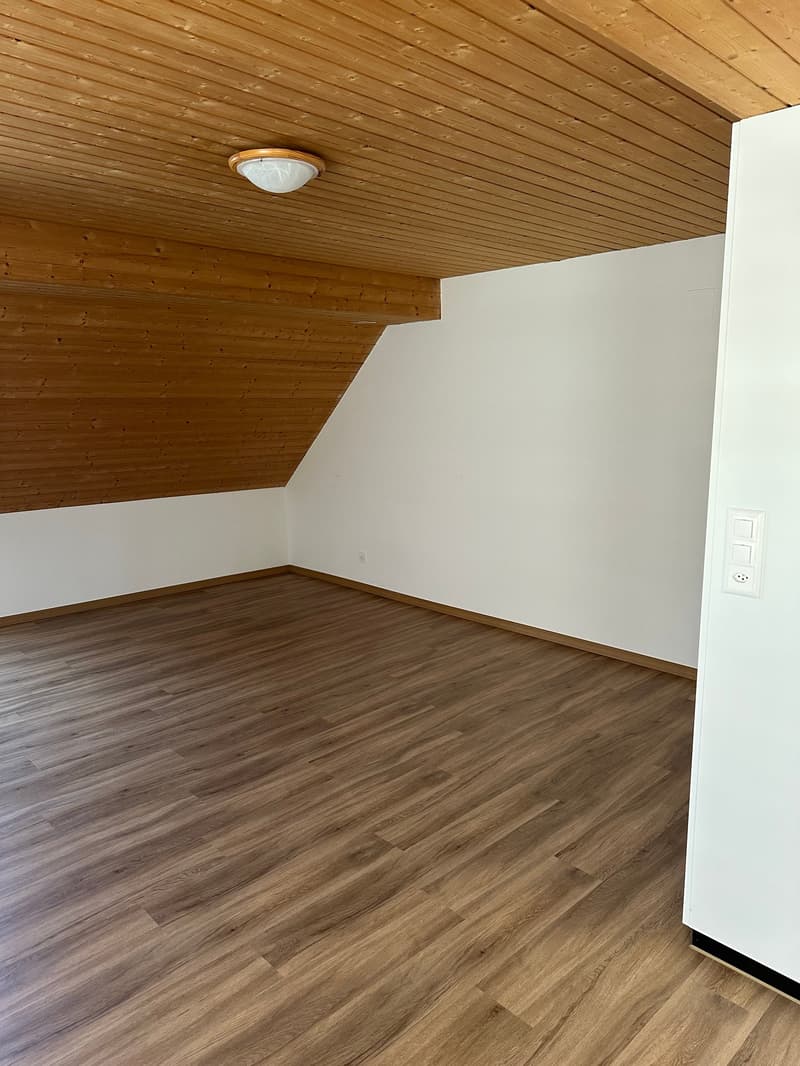 Appartement charmant de 1,5 pièces au 3e étage à Einsiedeln – disponible immédiatement ! (9)