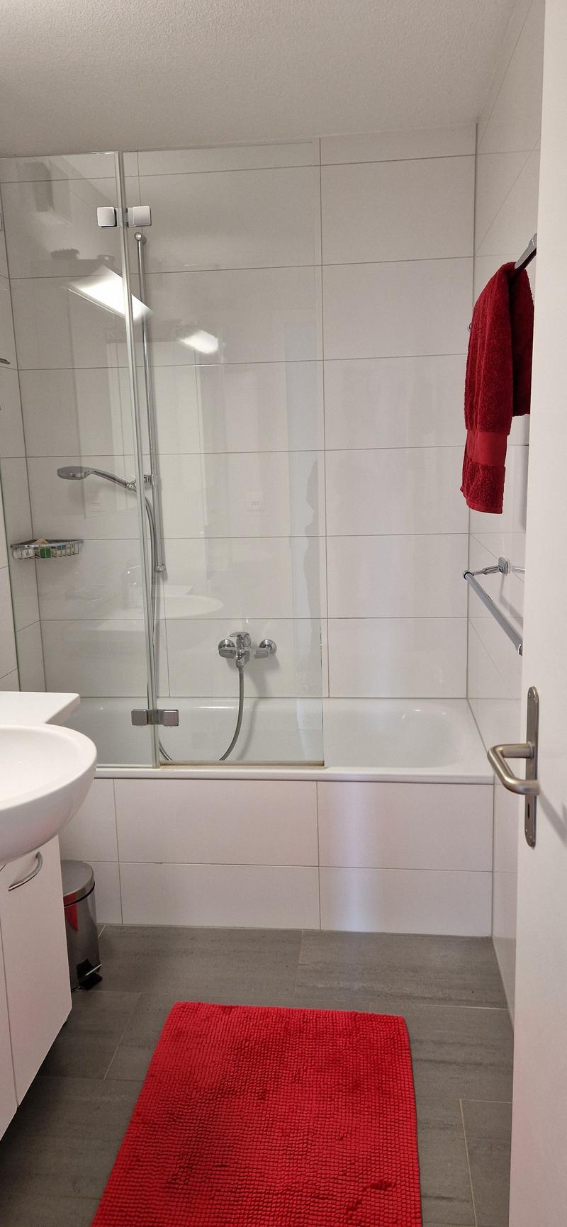 Spacious and bright 4.5-room apartment for rent! (11)
