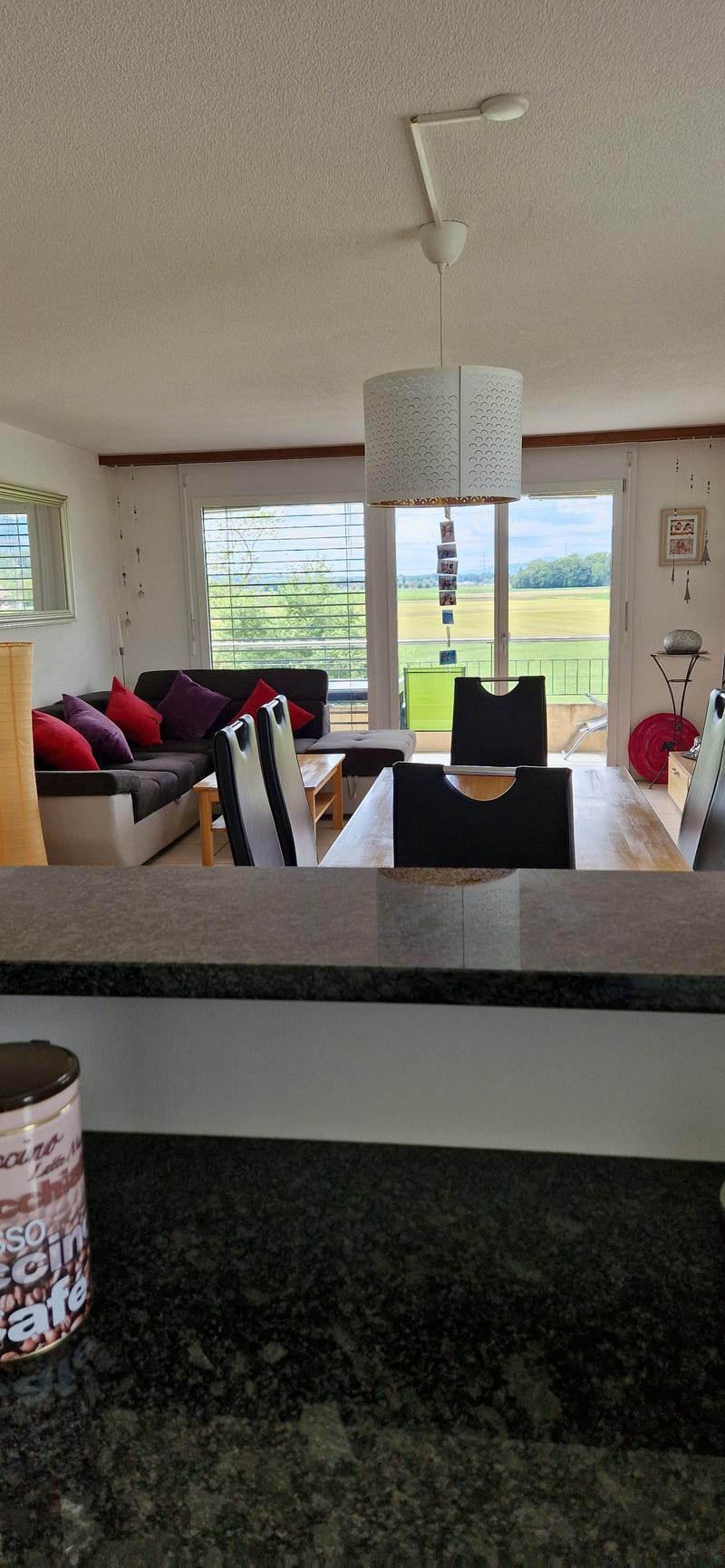 Spacious and bright 4.5-room apartment for rent! (5)