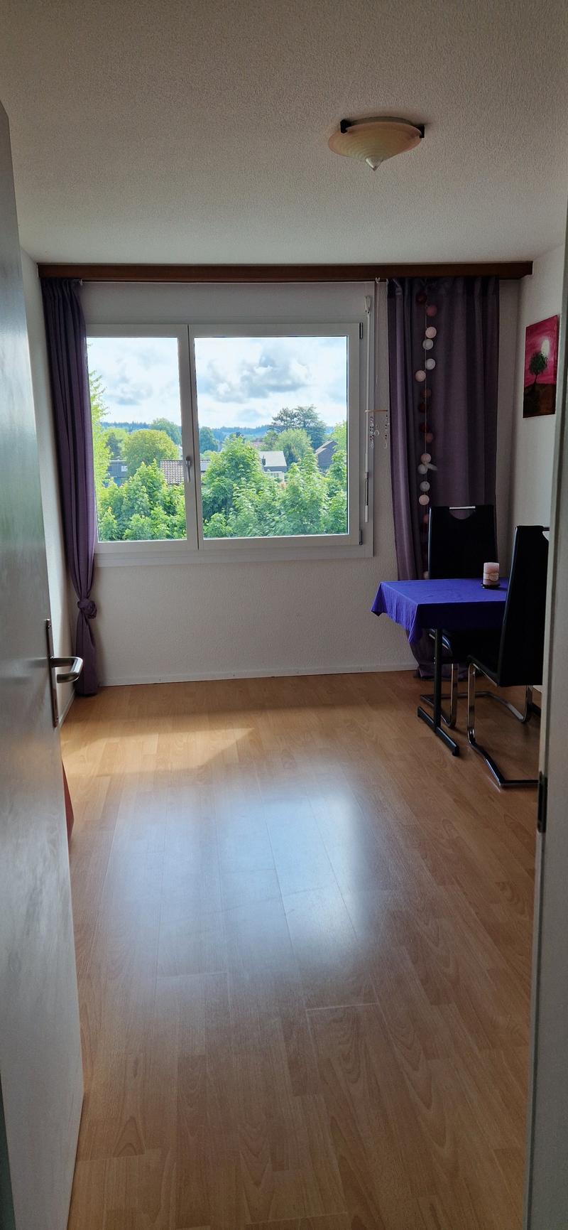 Spacious and bright 4.5-room apartment for rent! (7)