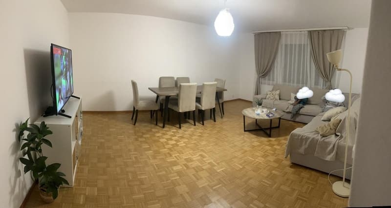 Appartamento luminoso di 5 locali a La Chaux-de-Fonds – disponibile immediatamente (3)