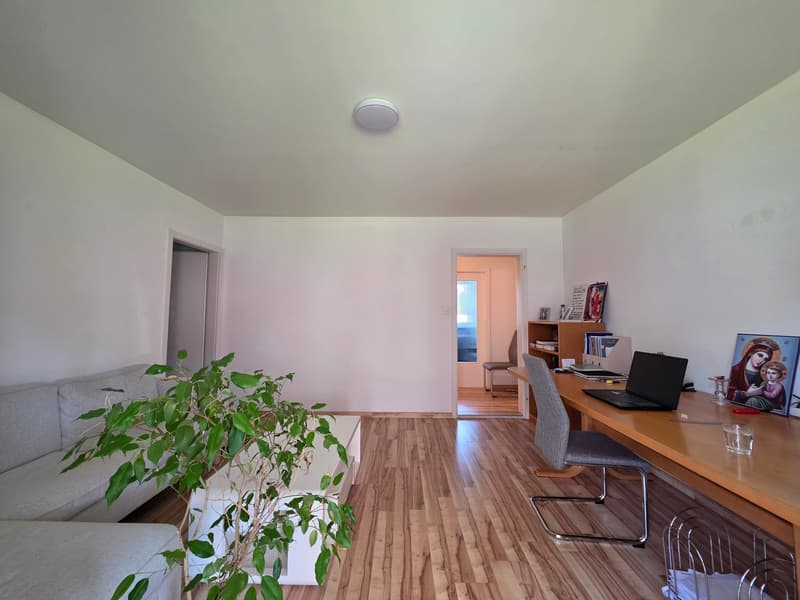 Charmante 2-Zimmer-Wohnung mit Balkon in St. Margrethen – sofort verfügbar! (4)