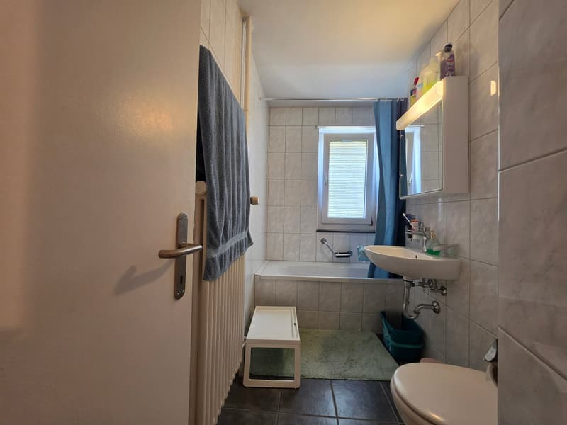 Charmante 2-Zimmer-Wohnung mit Balkon in St. Margrethen – sofort verfügbar! (14)