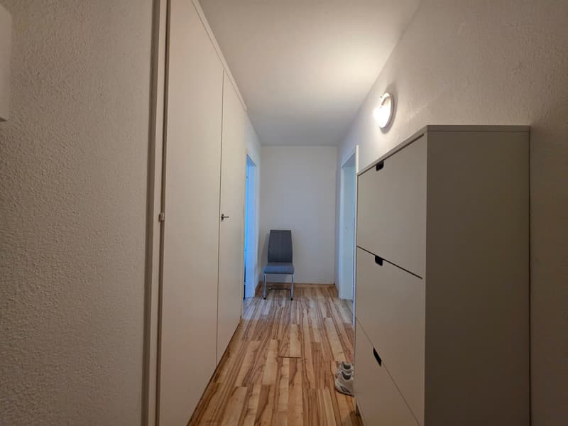Charmante 2-Zimmer-Wohnung mit Balkon in St. Margrethen – sofort verfügbar! (11)