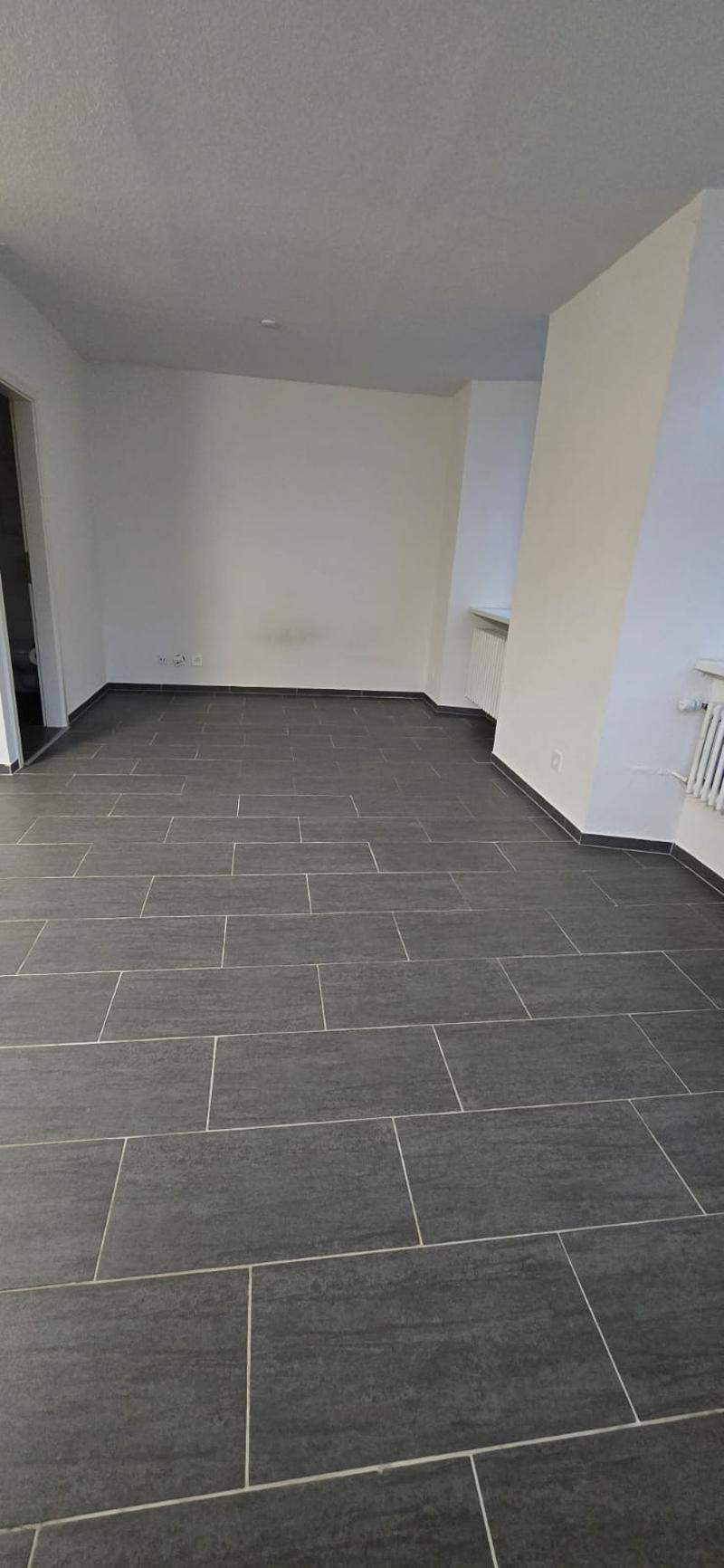 Charmantes Studio im Herzen von Le Locle (5)