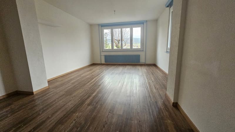 Charmantes Studio mit schönem Blick in Le Locle (5)