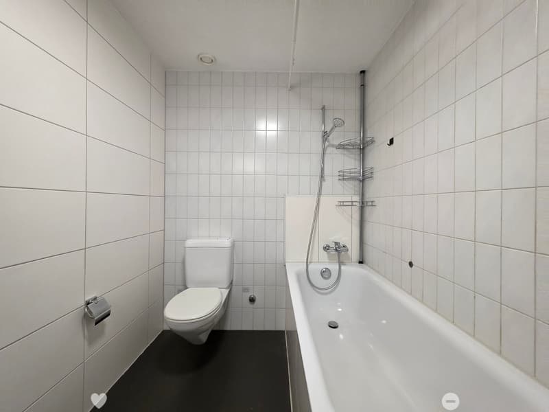 Grosszügige, gut gepflegte 5-Zimmer-Wohnung mit eigenem Vorgarten! (4)