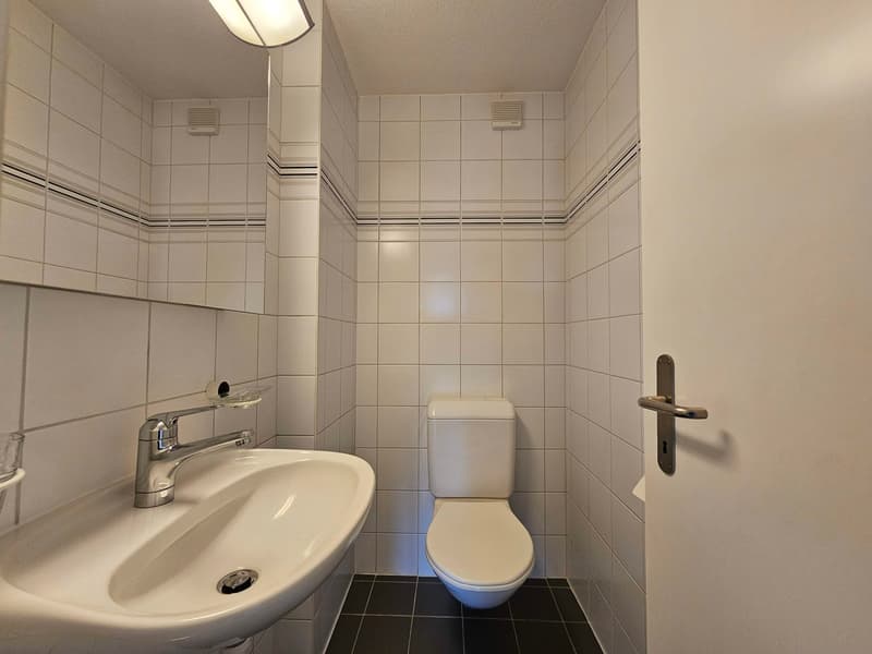 Appartement spacieux et lumineux de 4,5 pièces à louer immédiatement (12)