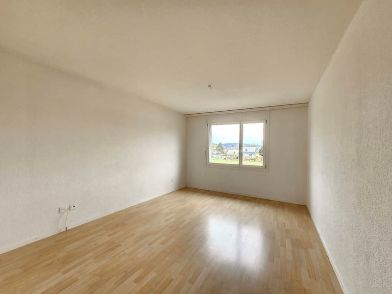Appartement spacieux et lumineux de 4,5 pièces à louer immédiatement (6)