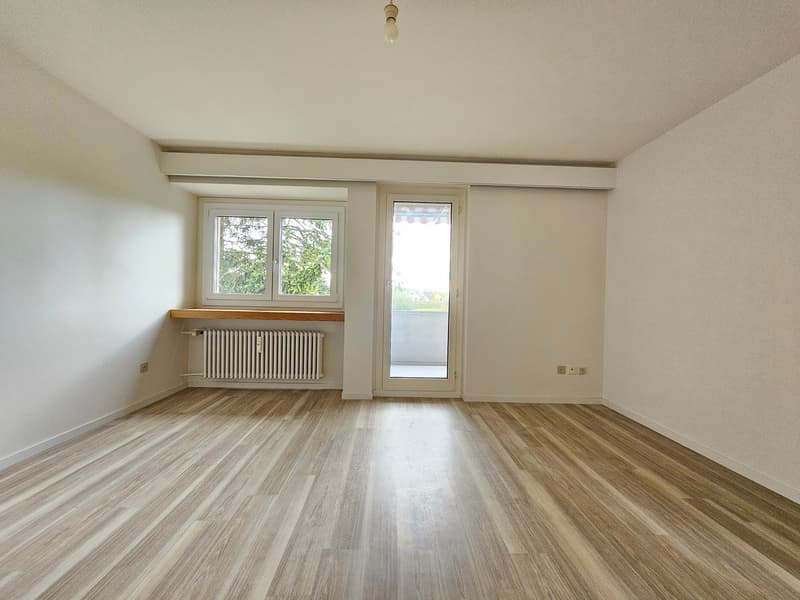 Appartamento luminoso di 4 locali con balcone e bella vista ad Arbon (11)