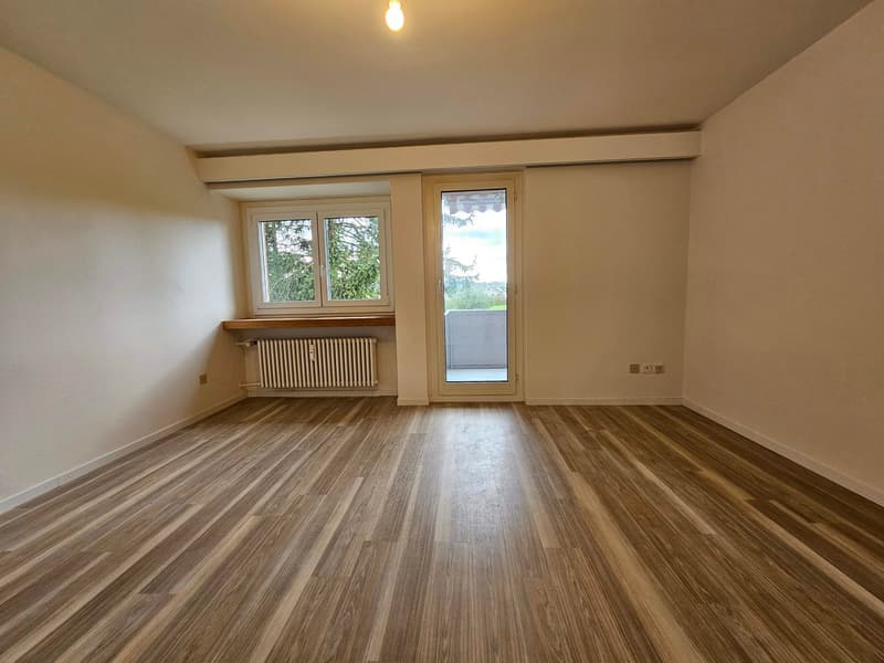 Appartamento luminoso di 4 locali con balcone e bella vista ad Arbon (12)