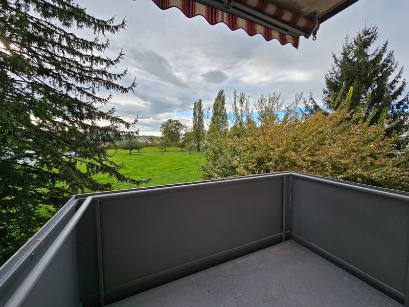 Appartamento luminoso di 4 locali con balcone e bella vista ad Arbon (16)
