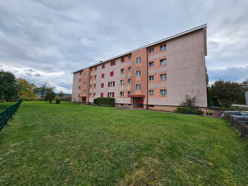 Appartamento luminoso di 4 locali con balcone e bella vista ad Arbon (1)