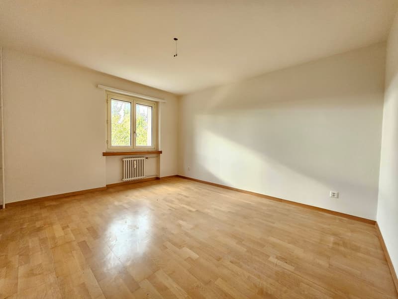 Appartamento luminoso di 4 locali con balcone e bella vista ad Arbon (8)