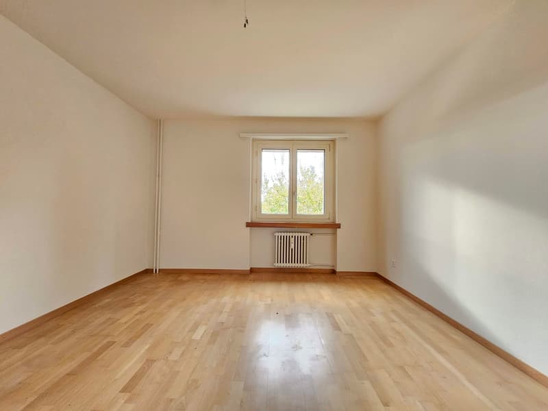 Appartamento luminoso di 4 locali con balcone e bella vista ad Arbon (9)