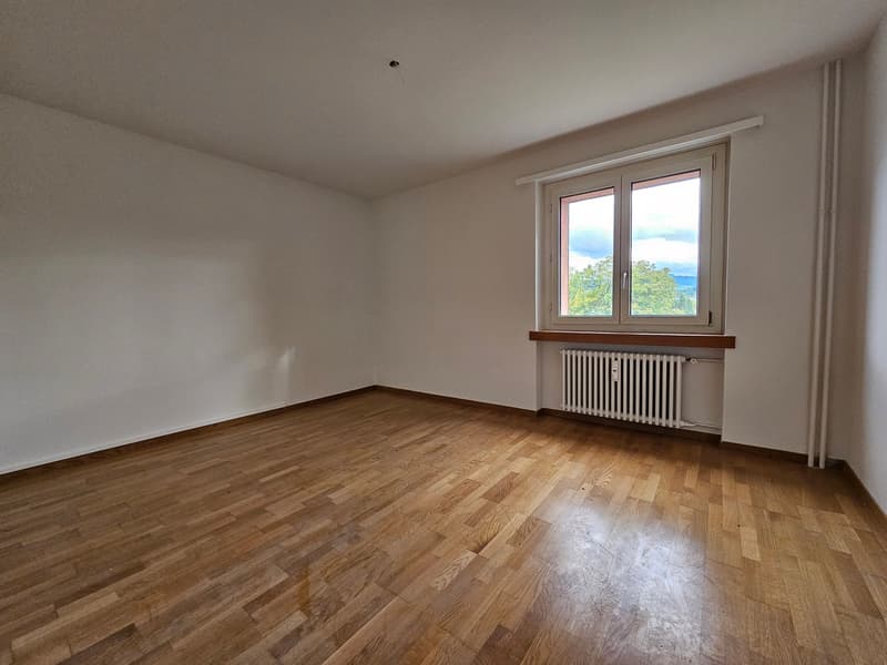 Appartamento luminoso di 4 locali con balcone e bella vista ad Arbon (14)