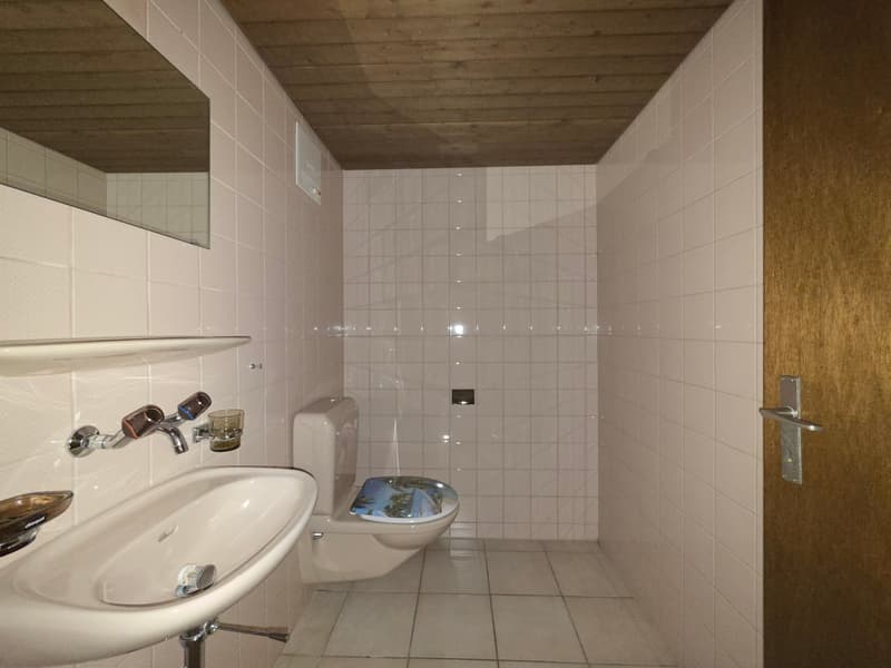Ampio appartamento di 4.5 locali con balcone e bella vista a Bubendorf (7)