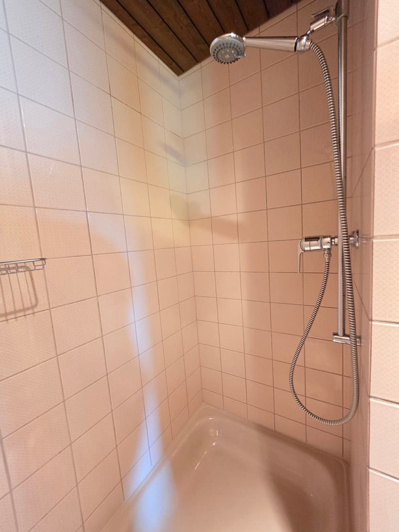 Ampio appartamento di 4.5 locali con balcone e bella vista a Bubendorf (17)