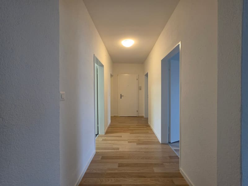 Appartamento familiare rinfrescato in affitto a Kriens! (13)